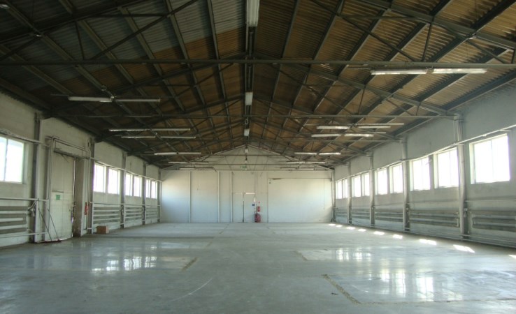 hala na wynajem - Katowice