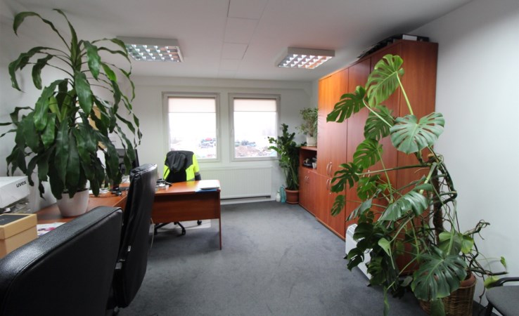 lokal na wynajem - Katowice