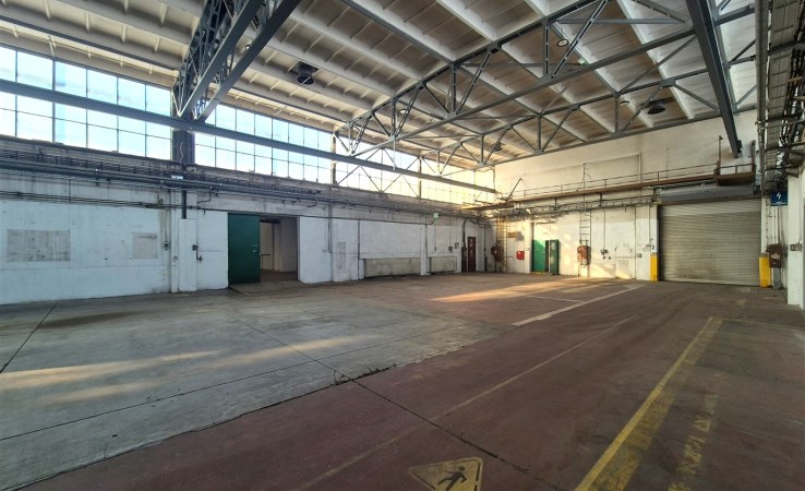 hala na wynajem - Katowice